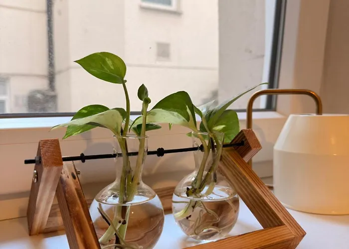 Secret Atelier In The Heart Of Apartment